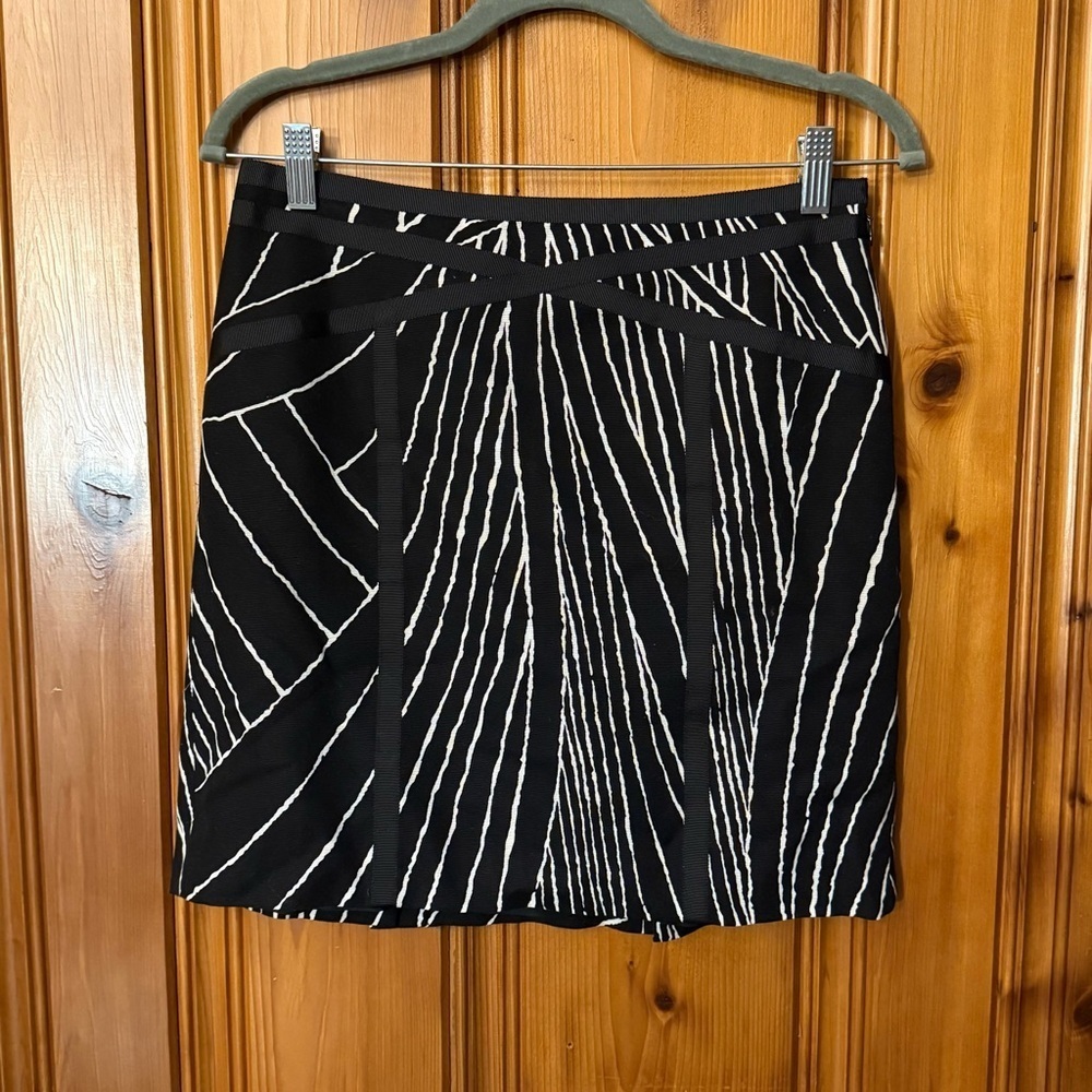 Ann Taylor skirt